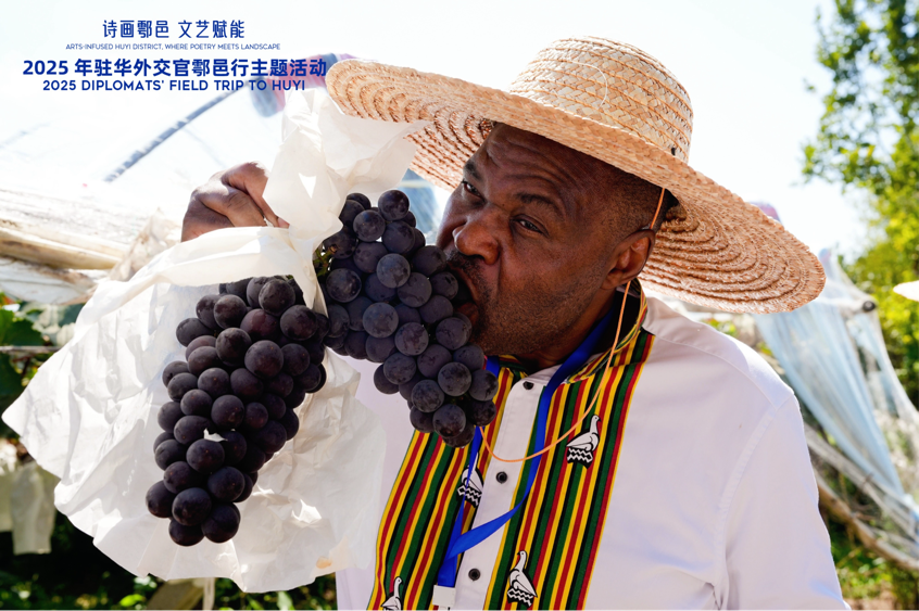 智慧“種”進葡萄園 駐華外交官品讀鄉(xiāng)村振興“中國甜”_fororder_圖片9