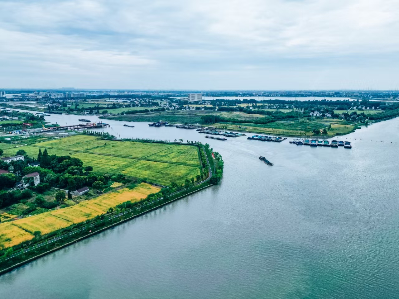 太浦河沿岸好風光。吳橫軒攝