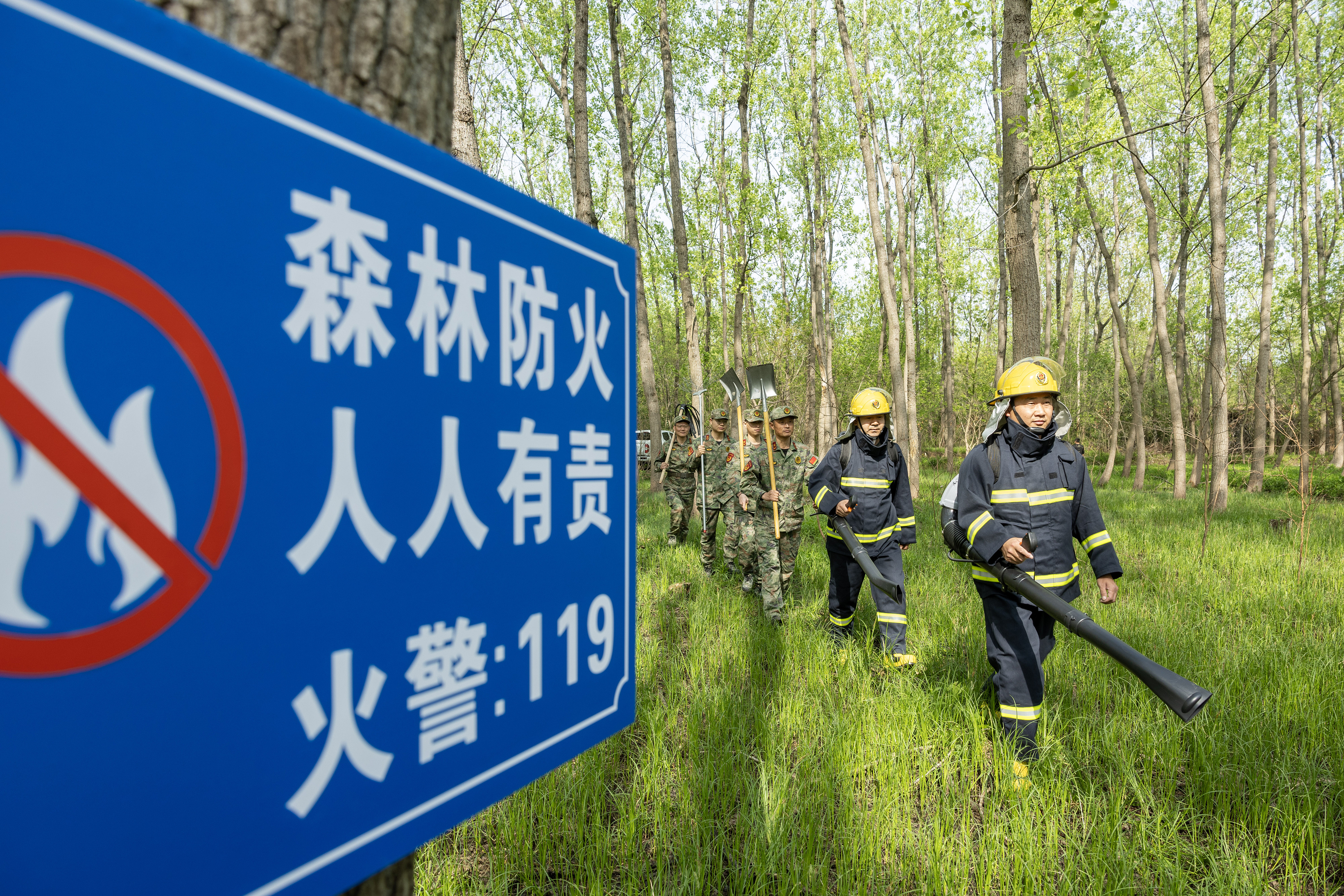 2024年4月9日，合肥市大房郢水庫水源保護(hù)地廬陽經(jīng)濟(jì)開發(fā)區(qū)段，基干民兵正在林間巡查火災(zāi)隱患。