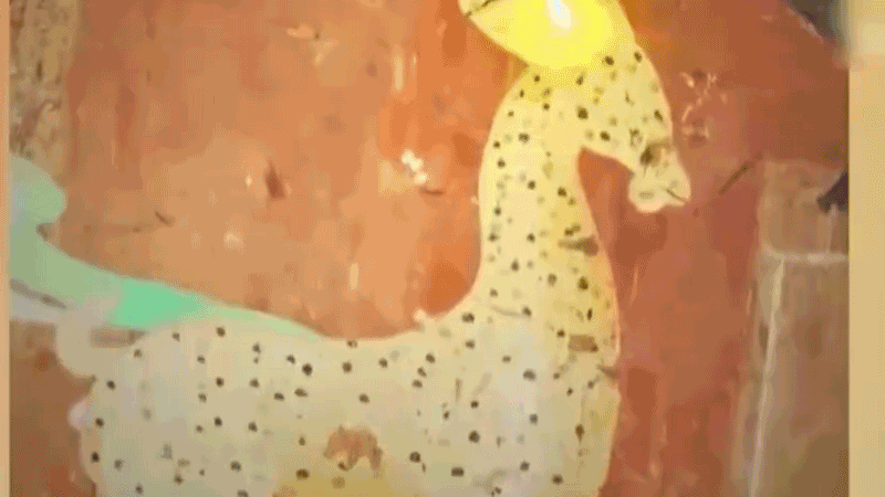 在全新技術(shù)支持下，敦煌莫高窟實(shí)現(xiàn)了窟內(nèi)文物窟外看的新體驗(yàn)。