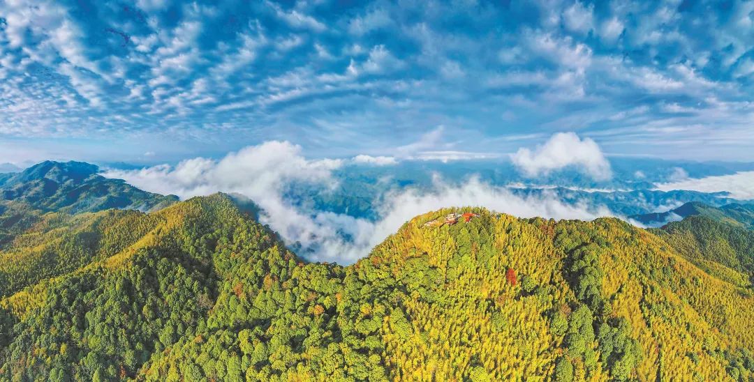 　三明森林生態(tài)環(huán)境優(yōu)美。