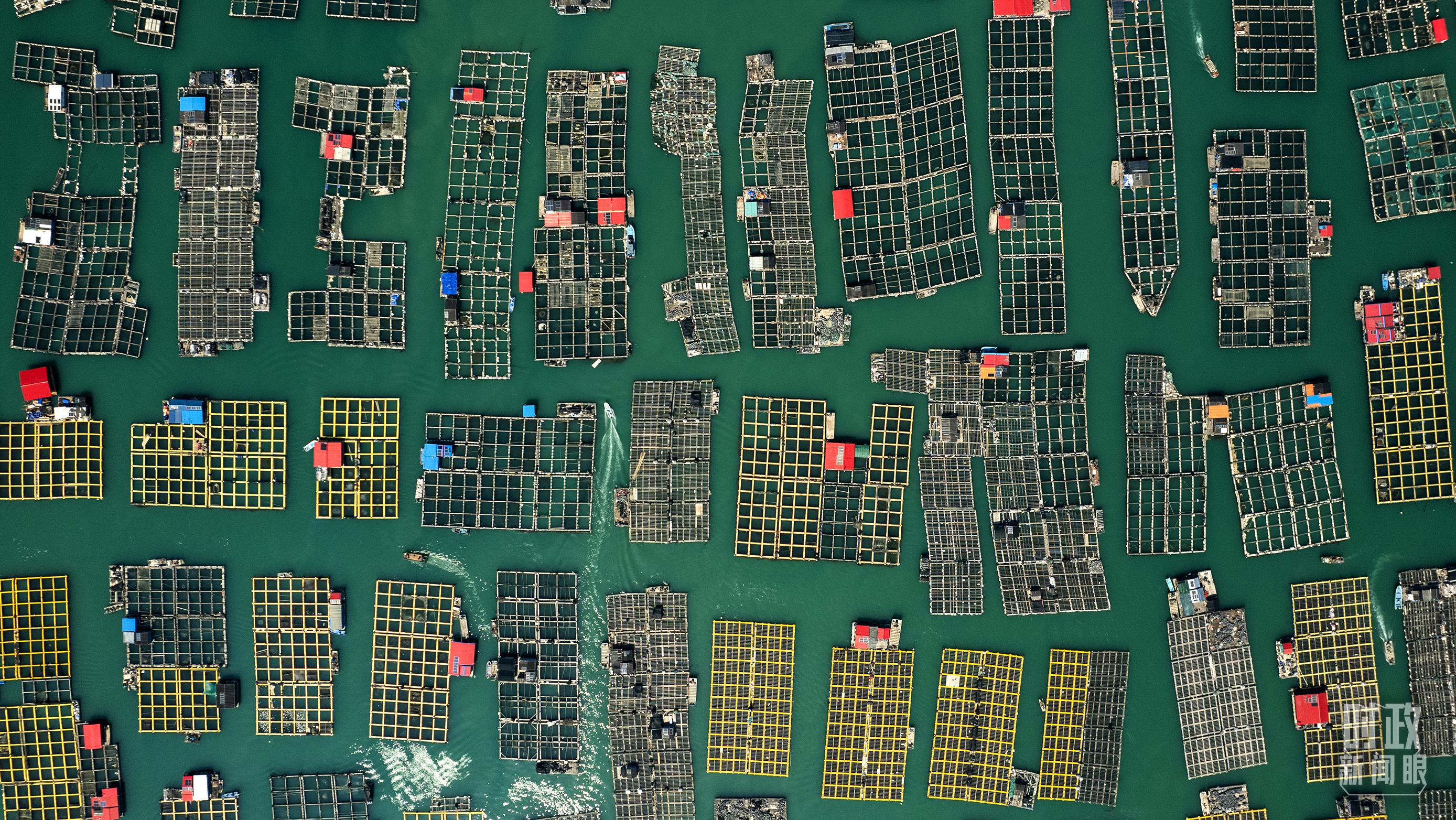 △澳角村。（總臺記者李晉拍攝）