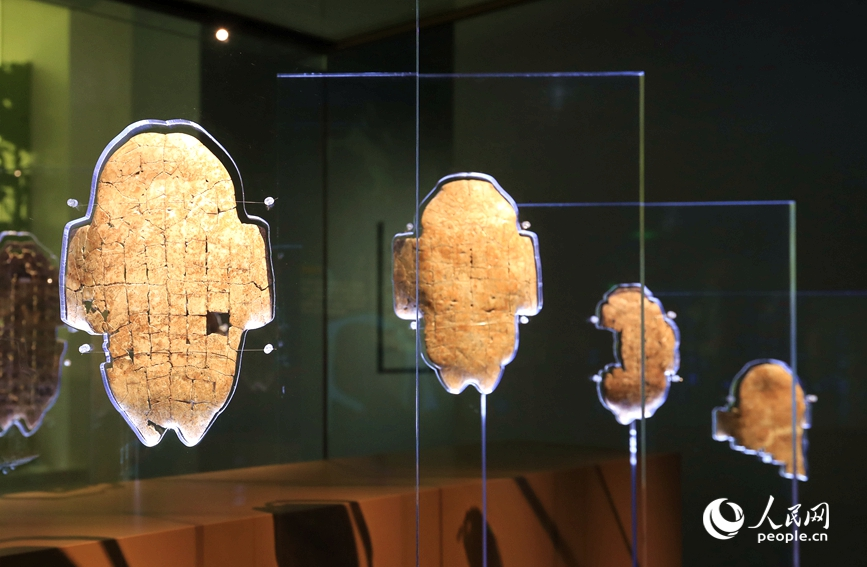 殷墟博物館展出的甲骨文。人民網(wǎng)記者 慎志遠(yuǎn) 攝