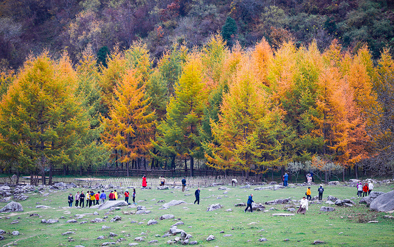2023年10月27日，深秋時節(jié)的陜西秦嶺太子嶺漫山紅黃、色彩交織，進(jìn)入最佳觀賞期。