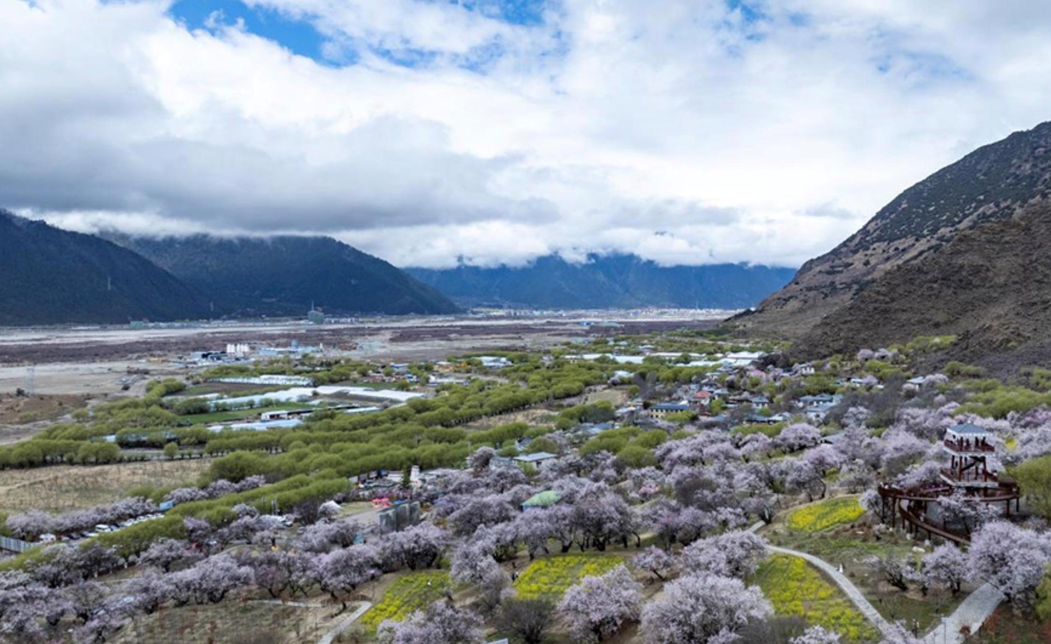 時政微觀察丨砥柱中流 風(fēng)華正茂