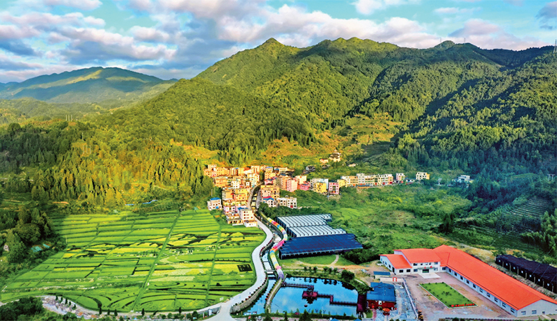 林茂田豐、天藍(lán)水清的“七彩”后洋村。 寧德市委宣傳部供圖 （2023年第24期《求是》雜志刊發(fā)）