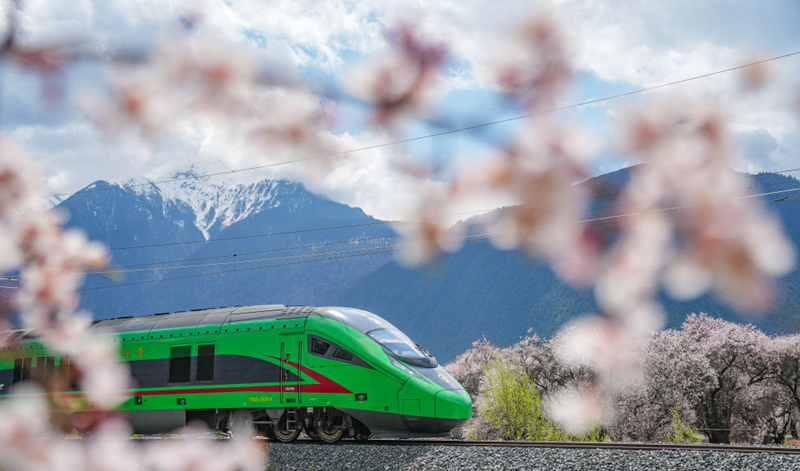 2025年4月2日，復(fù)興號(hào)列車(chē)穿行在拉林鐵路林芝段。