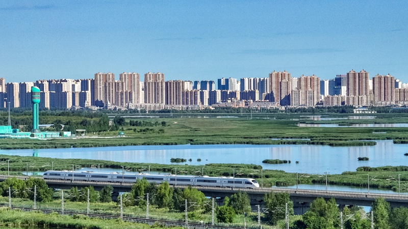 2025年8月17日，一列動(dòng)車組列車駛過大慶東站。