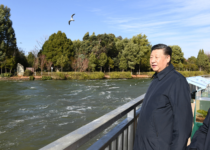 2020年1月20日下午，習(xí)近平總書(shū)記在云南昆明滇池星海半島生態(tài)濕地考察調(diào)研。
