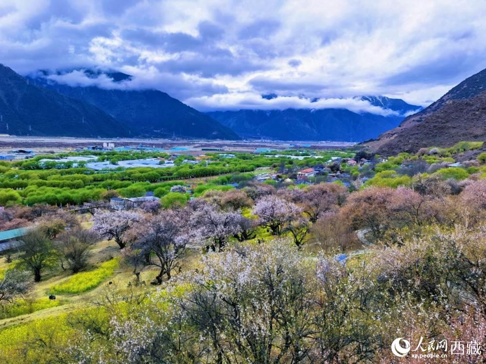 桃花從中的“童話小鎮(zhèn)”。人民網(wǎng) 李海霞攝