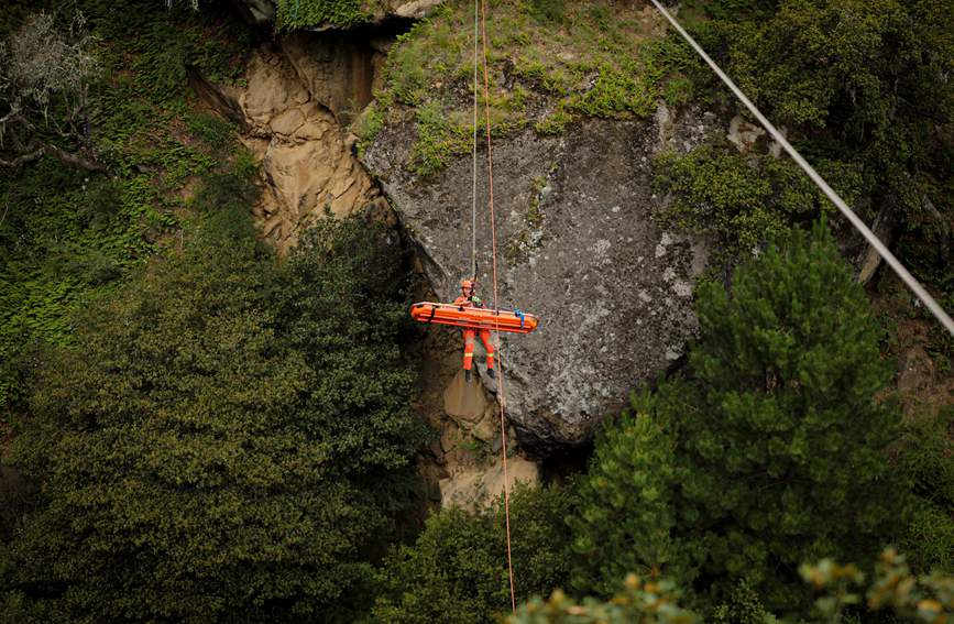 叢林中的橙色身影。西繞拉翁攝