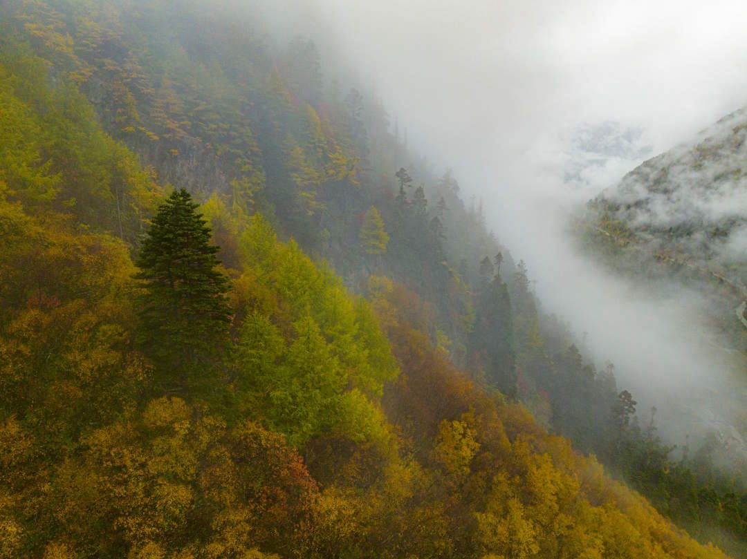 云纏霧繞，層林盡染。