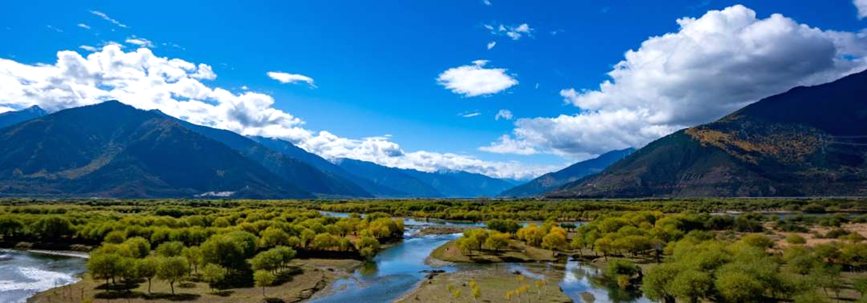 西藏:雅尼濕地秋日風(fēng)光正好【4】