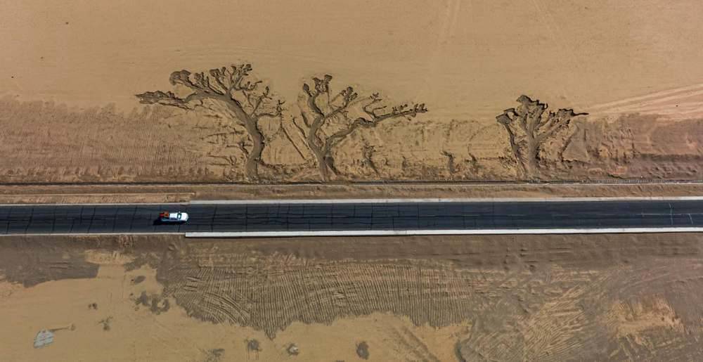 位于國道216沿線的“大地之樹”。邊巴多吉攝