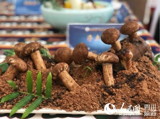 雅江松茸（圖片由雅江縣委宣傳部提供）