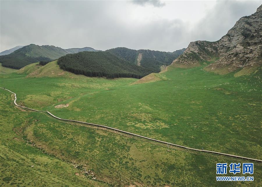 (美麗中國(guó))(1)祁連山下冰溝河 水草豐茂美如畫