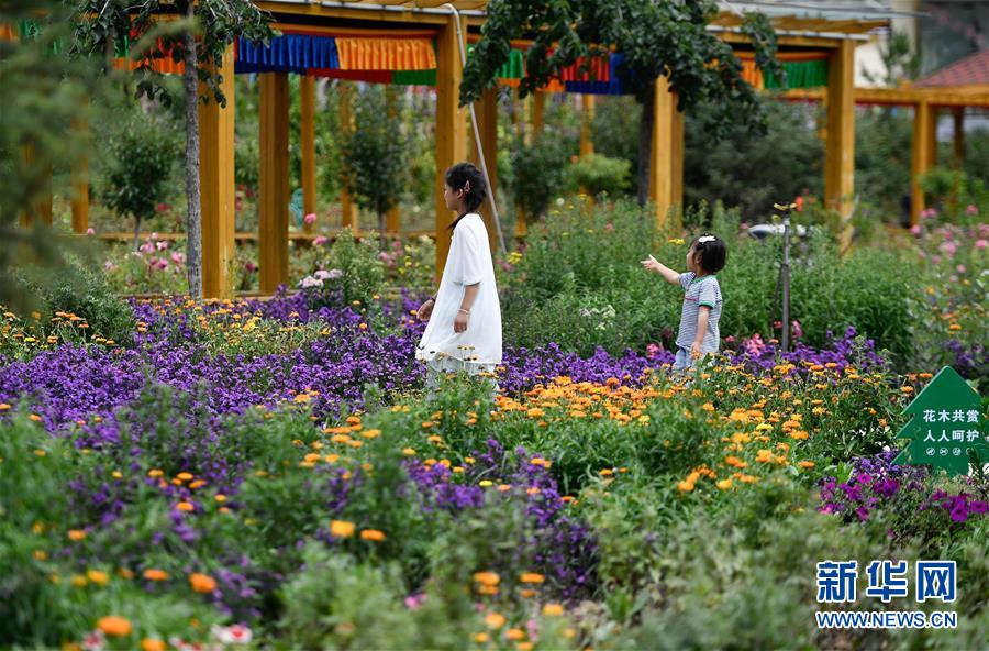 (走向我們的小康生活)(4)德吉村:黃河岸邊的美麗嬗變