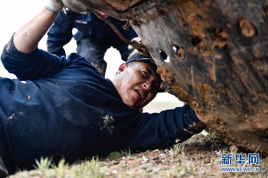 （圖文互動）（1）記者手記：可可西里，“挪”向“藏羚羊大產(chǎn)房”的14個半小時