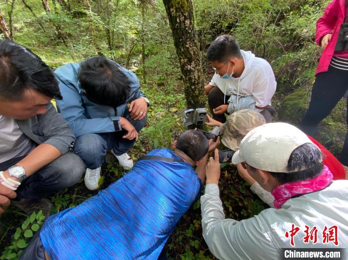 圖為訪客正在查看紅外相機(jī)中的拍攝畫面。　李江寧 攝