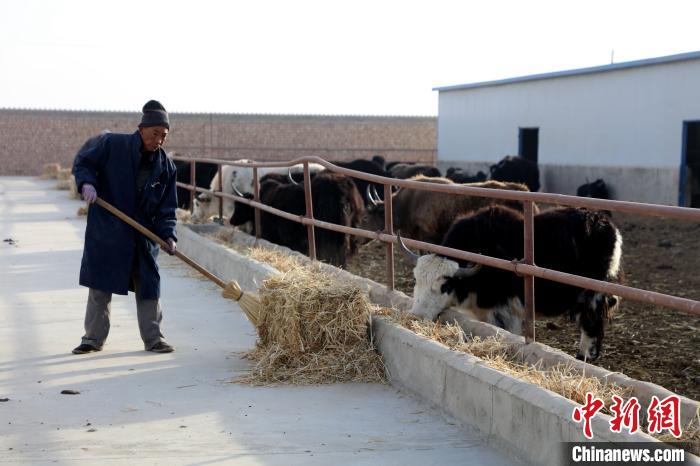 柴達(dá)木盆地蓮湖村：讓致富村民生活“?！逼饋? oldsrc=