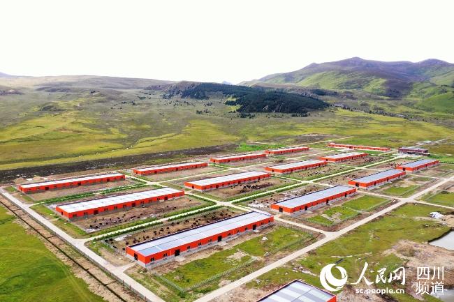 建設(shè)中的理塘縣牦牛產(chǎn)業(yè)園。葉強(qiáng)平攝