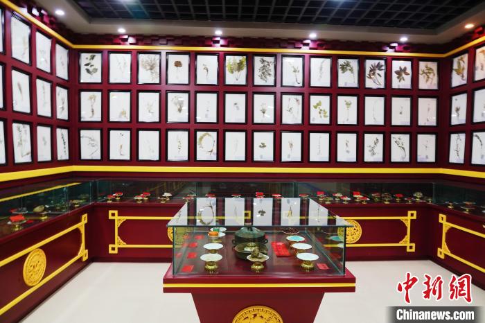 圖為藏藥臘葉標本。　馬銘言 攝