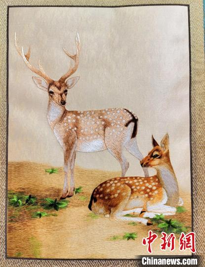 圖為藏繡作品?！∑钤鲚?攝