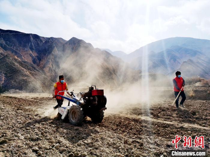圖為拖拉機在山地犁地。　張?zhí)砀?攝
