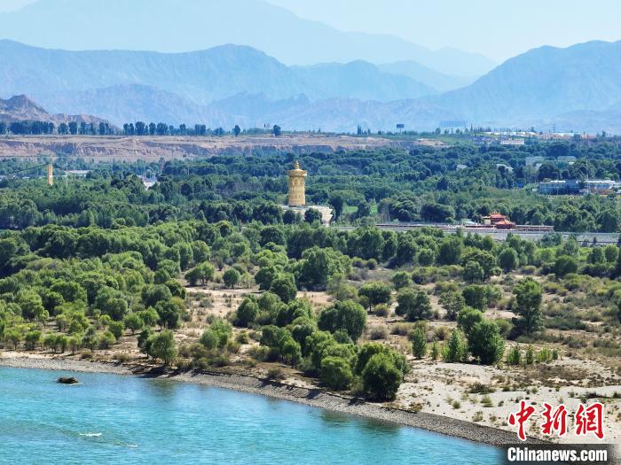 航拍貴德縣黃河岸畔綠意盎然。　馬銘言 攝