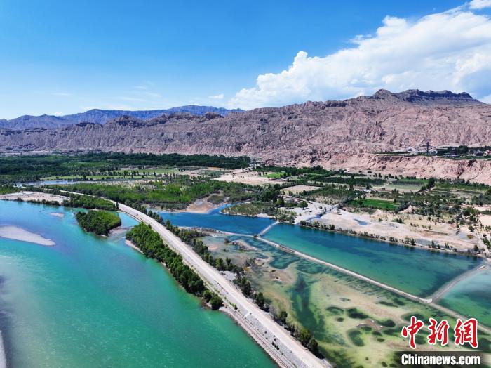 航拍貴德縣黃河岸畔綠意盎然。　馬銘言 攝