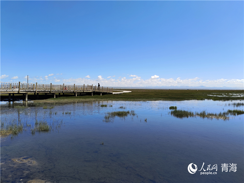 青海湖仙女灣。人民網 張莉萍攝