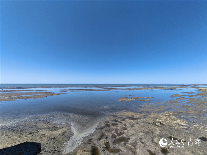   青海湖仙女灣。人民網(wǎng) 張莉萍攝