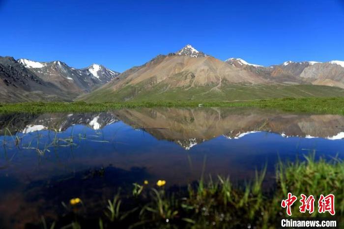 青海:以國家公園為主體的新型自然保護地體系已基本成型