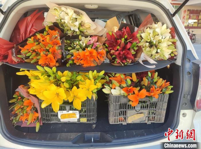 剛剛采摘下來的百合花?！∪捞量h委宣傳部供圖
