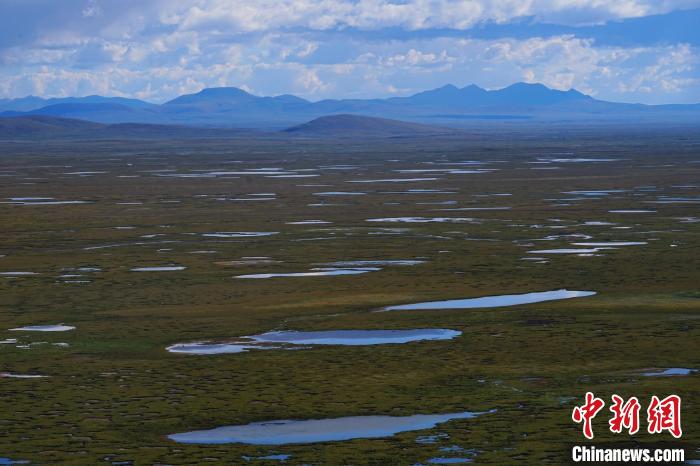 圖為查旦濕地?！●R銘言 攝