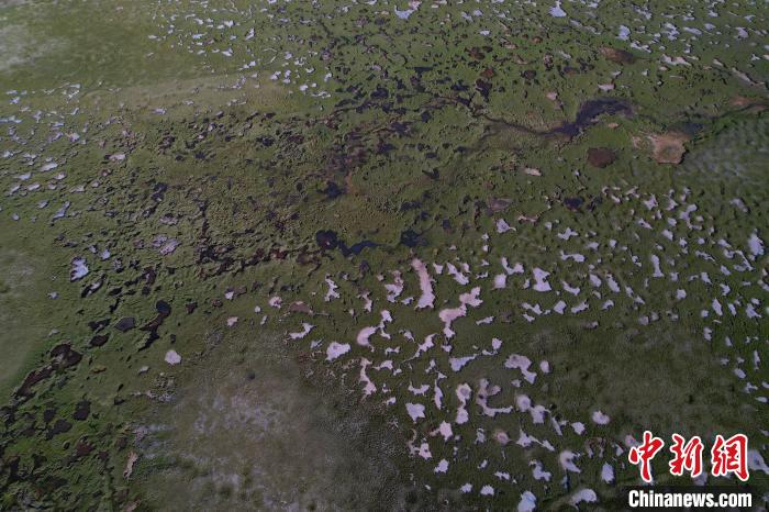 航拍查旦濕地。　馬銘言 攝