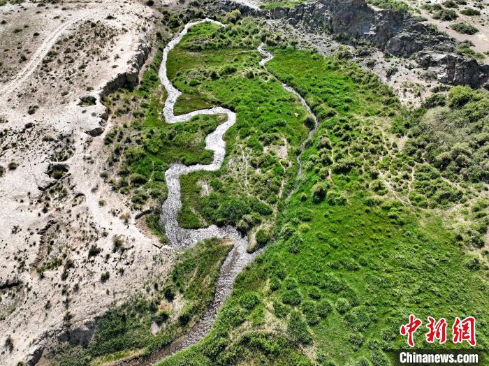 圖為航拍都蘭湖國家濕地公園綠意盎然。　祁增蓓 攝