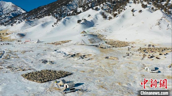 圖為無(wú)人機(jī)航拍牧場(chǎng)?！《继m縣融媒體中心供圖