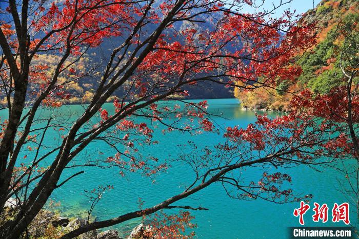 松坪溝風(fēng)光。　何清海 攝