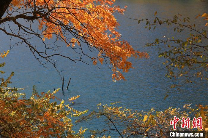 松坪溝風(fēng)光。　劉通 攝