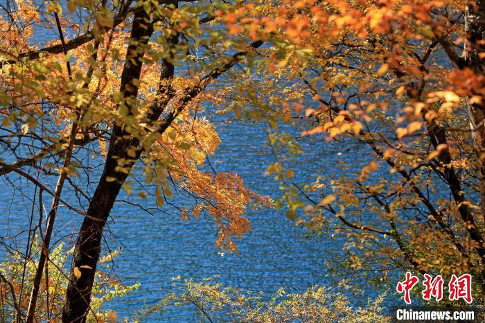 松坪溝風(fēng)光。　劉通 攝