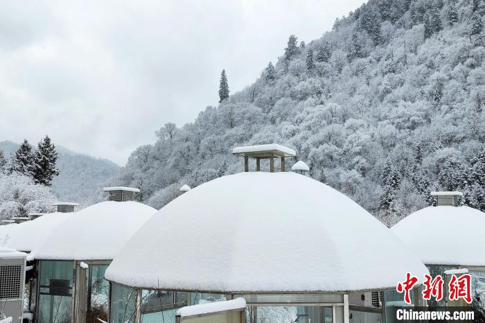 大熊貓國家公園王朗片區(qū)春雪如畫，宛若仙境?！×_春平 攝