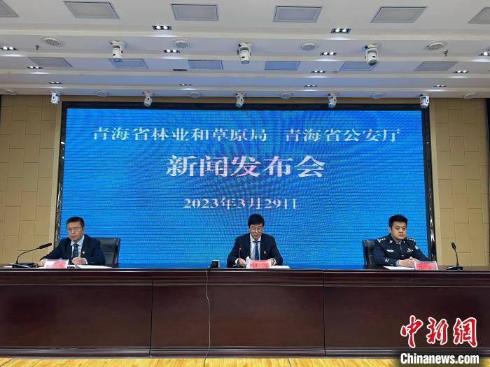 青海去年占用林地、草地準(zhǔn)予許可件同比實(shí)現(xiàn)“雙減”