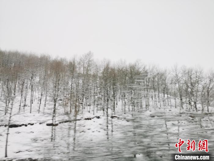 圖為青海青沙山區(qū)域被降雪覆蓋?！?zhí)砀?攝