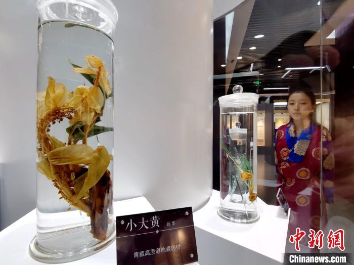 青海中藏醫(yī)藥發(fā)展提速：建設一批重點專科學科，推廣一批適宜技術