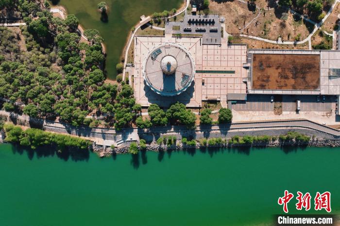 航拍青海貴德黃河岸畔綠意濃濃?！≮w凜松 攝