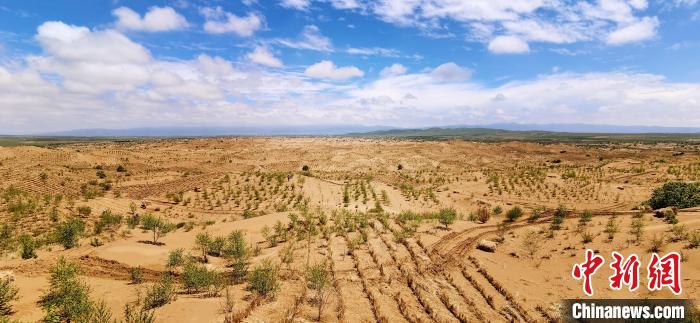 資料圖為貴南縣黃沙頭的防沙治沙草方格?！∑钤鲚?攝