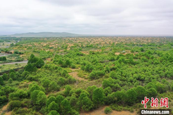 資料圖為航拍黃沙頭防沙治沙區(qū)植被?！∑钤鲚?攝