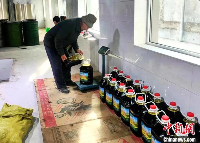 圖為高原油菜籽榨出的菜籽油?！埖么?攝