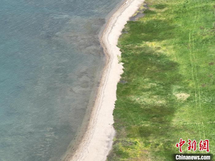 圖為航拍仲夏時(shí)節(jié)，青海湖畔綠茵如毯?！∑钤鲚?攝